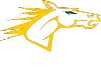 纽约州立大学德里学院